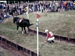 EUROPEAN HORSE TRIALS News Clip