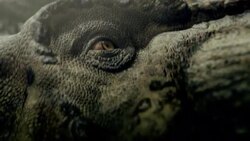 A computer-generated animation reveals the muscular system of a running Tyrannosaurus-rex below its skin. Stock Footage