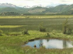 Vast Prairie in Chile Stock Footage