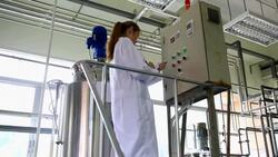 Quality Control In Production Line Stock Footage