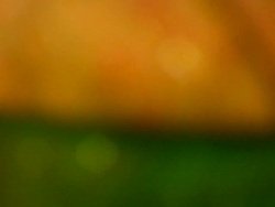 HD 1080i Defocussed Grit Abstract with leaf 2 Stock Footage