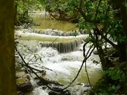 Waterfalls in Green Forests Stock Footage