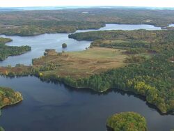 MS AERIAL TU View of wooded area with autumn color in town / Maine, United States Stock Footage