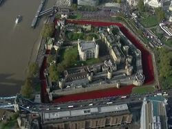 Crowds Turn Out For Tower Of London Poppies News Clip