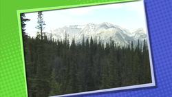 Way Cool Science II: Ecosystems and Biomes Instructional Video