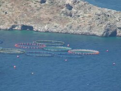 MS AERIAL View of island with aquacultures / Peloponnese, Greece Stock Footage
