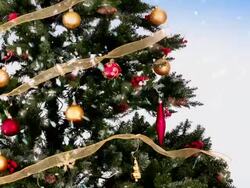 Christmas Tree Close Up Stock Footage