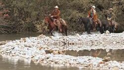 TU DS Two cowboys and cowgirl riding horses across river Stock Footage
