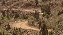 A Volkswagen Beetle drives along a winding desert road. Stock Footage