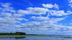 Yellow flowers and Moving clouds Stock Footage