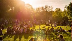 Crowded park in warm sunlight Stock Footage