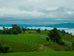 Terraced Paddy Field in Mae-Jam Village, Thailand. Stock Footage