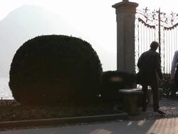 Business couple walk through park, check text message Stock Footage