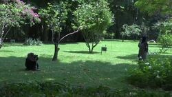 Palace gives intimate glimpse into royal's history Instructional Video