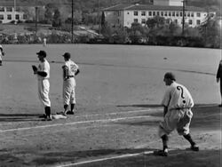 Celebrities at Pacific Coast League Baseball Game Stock Footage