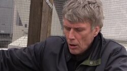 Bez grab on Wanting To Become An MP News Clip