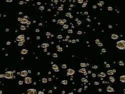 Avalanche Loop Stock Footage