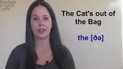 IDIOM - The Cat's out of the Bag - American English Instructional Video