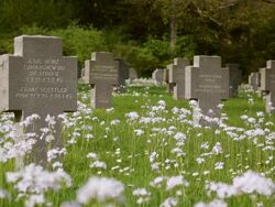 MS LA View of American war cemetery / Sandweiler, Luxembourg Stock Footage