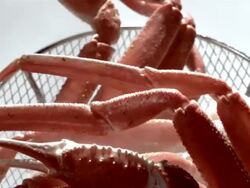 SLO MO ECU View of steaming crab legs being tossed in strainer / Los Angeles,CA,USA Stock Footage