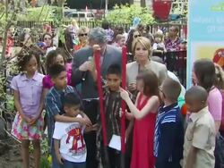 Katie Couric at the Katie Couric and Sesame Street Muppets - When Families Grieve at New York NY. (Footage by WireImage Video/GettyImages) Stock Footage