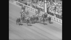 1966 Kentucky Derby Stock Footage