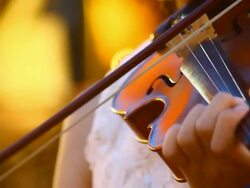 play violin Stock Footage