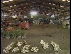 NICARAGUA: DEMONSTRATIONS AND ROAD BLOCKS CONTINUE Instructional Video