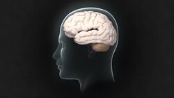 Head with pulsating brain Stock Footage