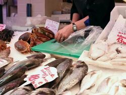 Fresh Fish on a market Stock Footage