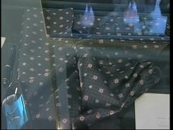 NEWS FEATURE Museum hopes to display independence documents News Clip