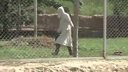 CLEAN : Unloved vultures fight for their survival in Pakistan News Clip