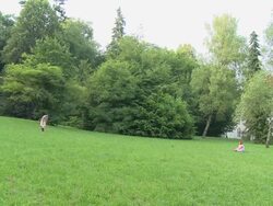 HD: Park In Spring Stock Footage