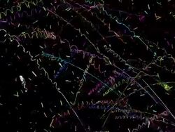 StreamersFly Stock Footage