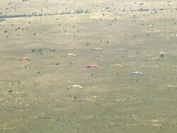 WS AERIAL ZI View of Para gliding / Melbourne, Victoria, Australia Stock Footage