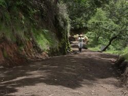 WS Miner carrying solid sulfur to the weighting cabin / Ijen, Java, Indonesia Stock Footage