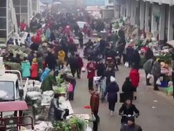  MS T/L Vegetables wholesaling market / xi'an, shaanxi, china Stock Footage