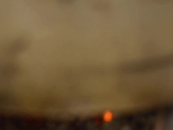 Grill squid Stock Footage