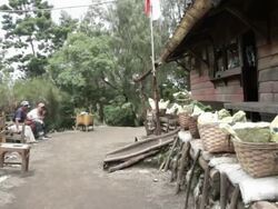 WS Miners at the weighting cabin / Ijen, Java, Indonesia Stock Footage