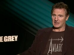 INTERVIEW: Liam Neeson on the realism of the plane crash in the film at 'The Grey' Junket in Hollywood, CA, on 1/7/2012 Stock Footage