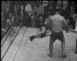 Wrestling Champion News Clip