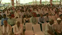 Cows strut their stuff at India bovine pageant News Clip