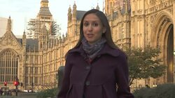 Government review into fixed odds betting terminals released News Clip