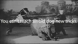 Contradictory Proverbs (no subtitles) Instructional Video