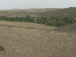 A group of trees break the landscape of Moroccan land and mountains. Stock Footage