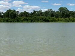 The River Murray In South Australia Stock Footage