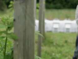 Man in field with basket of produce and table in background Stock Footage