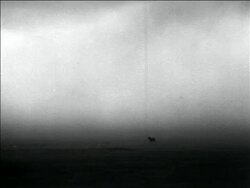 B/W 1936 long shot wide shot horse standing on plain / Dust Bowl / USA Stock Footage