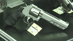 CLEAN : US gun vendors reporting post San Bernardino sales rise News Clip