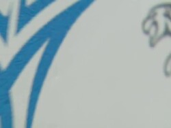 Hollywood Celebrities to Celebrate Premiere of The Jordan Melo M4 Stock Footage